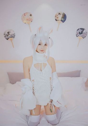 猫和老鼠电影