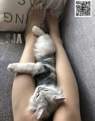 海豹突击队
