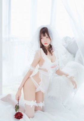 浮图缘电视剧
