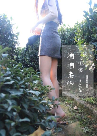 风之大陆
