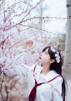 免费播放电视剧大全在线观看