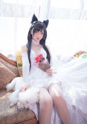 天涯女人心电视剧全集在线观看
